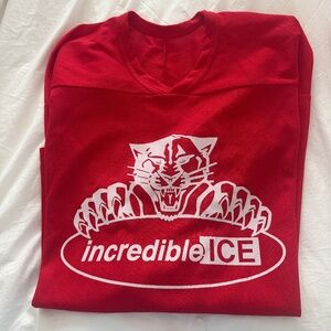 Florida Panthers Practice Jersey Incredible Ice Large Gently worn Made by CCM
